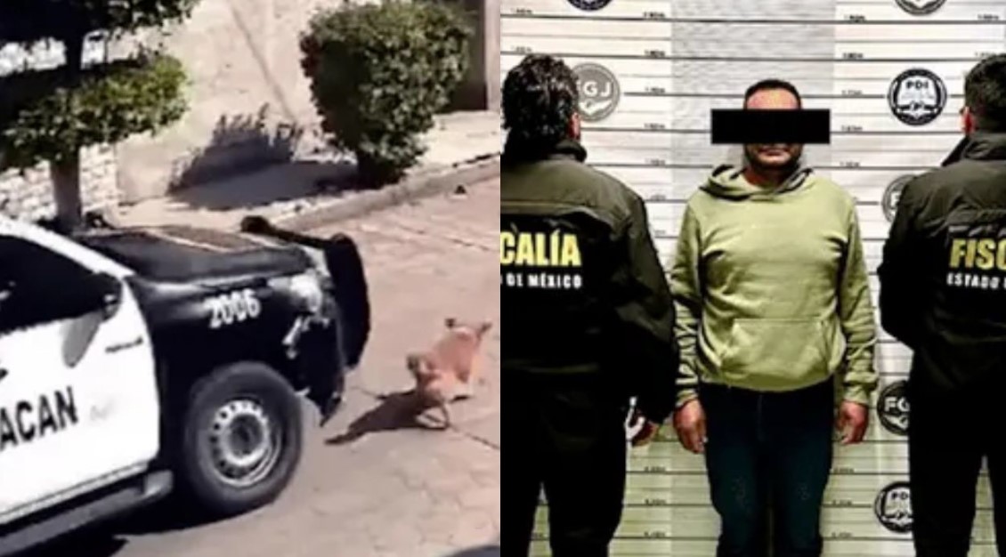 Detienen A Ex Policía De Chimalhuacán Que Atropelló A “Peluche”