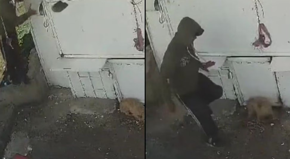 Captan A Trabajador De Limpia De Naucalpan Golpeando Brutalmente A Un Perrito