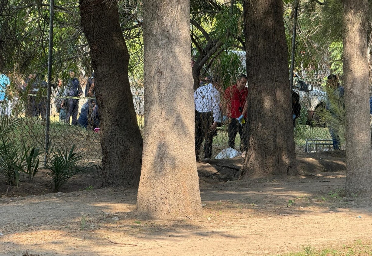 Localizan Sin Vida A Una Menor En El Municipio De Tlalnepantla