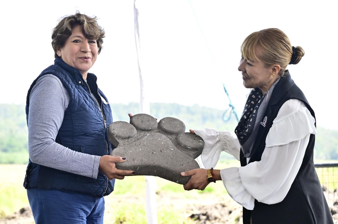 Edomex Arranca Construcción De Dos Centros De Bienestar Animal