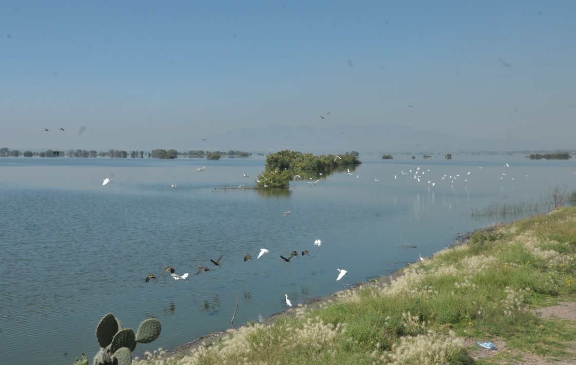 Retiran 72 Toneladas De Basura De La Laguna De Zumpango