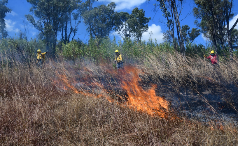 Edomex Refuerza Brigadas De Atención A Incendios Forestales
